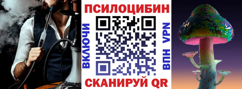 Купить где  Сольцы  Галлюциногенные грибы Psilocybine cubensis 