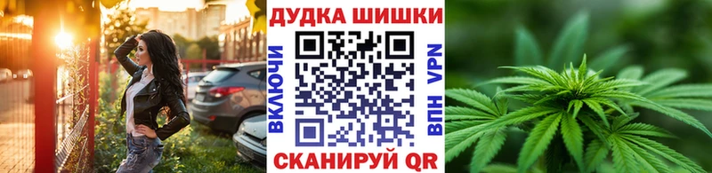 Бошки Шишки гибрид  Купить где  Сольцы 